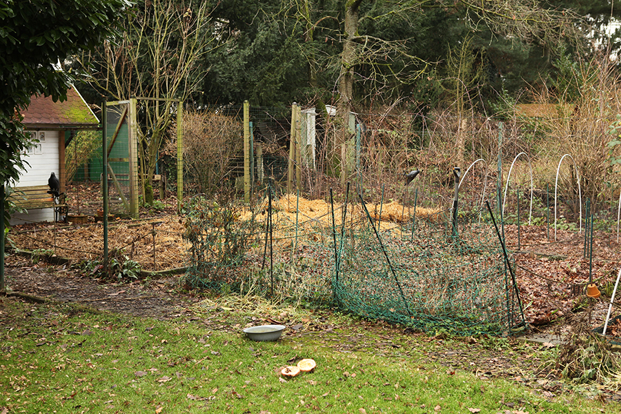 Gartenrundgang Dezember