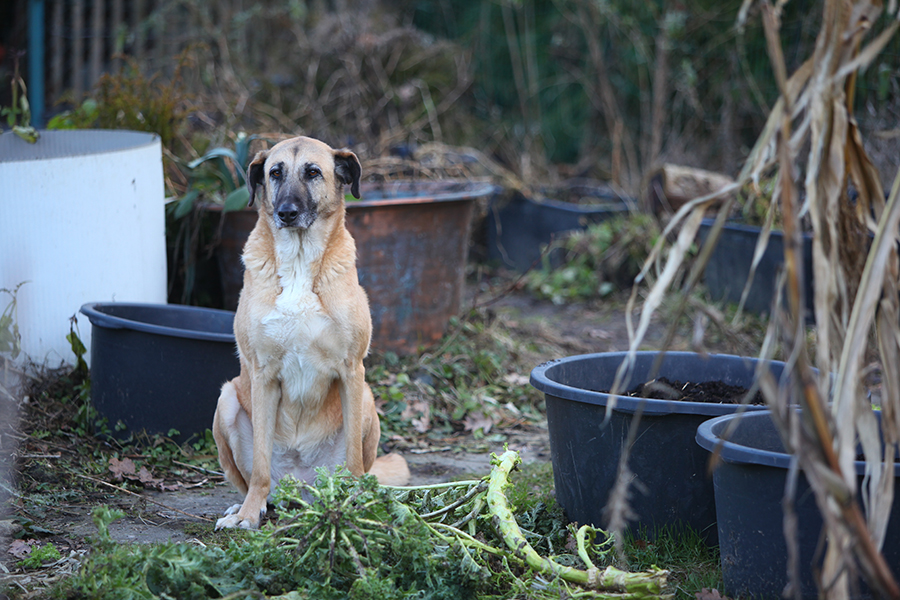 Gartenrundgang