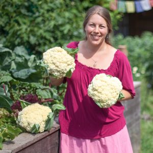 Bio-Blumenkohl früh