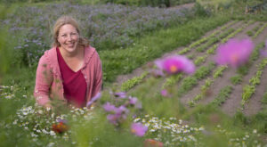 Mehr über den Artikel erfahren Gartensommer