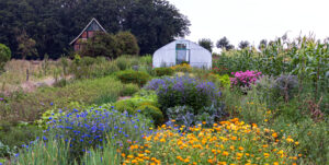 bunt ist der Ackergarten