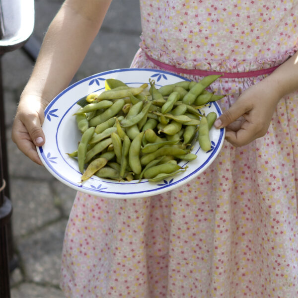 Edamame