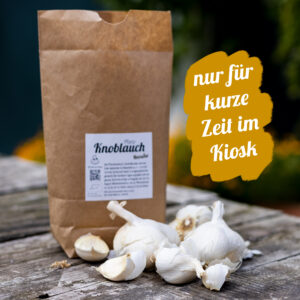 Bio Pflanzknoblauch Therador (für den Herbst)