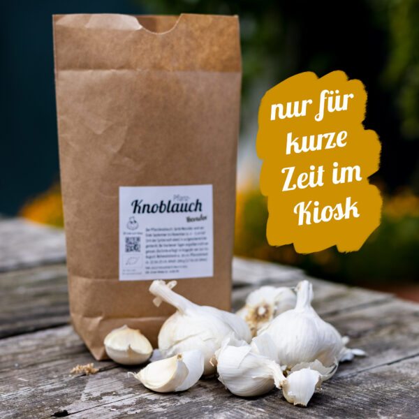 Knoblauch