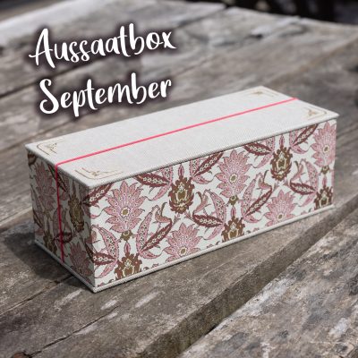 Aussaatbox September rosa